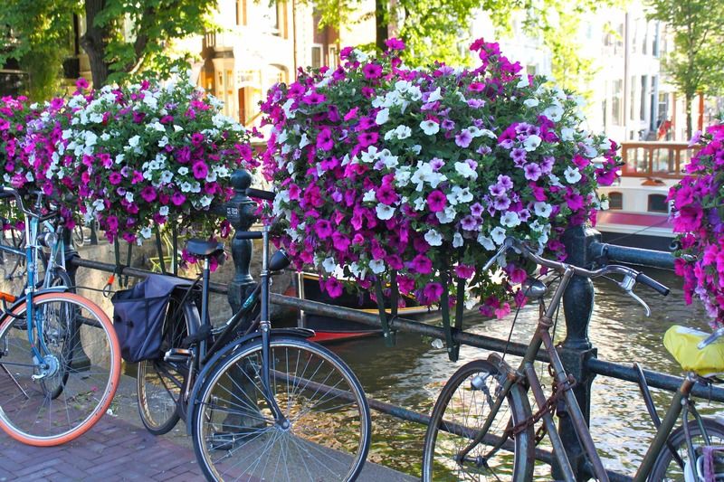 The Bank Hotel Amsterdam Esterno foto